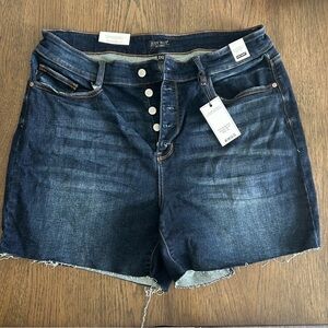Judy Blue Blue Jean Shorts Raw Hem